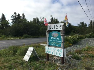 baleines nouveau-brunswick